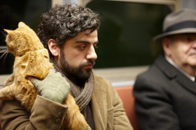 insidellewyndavis