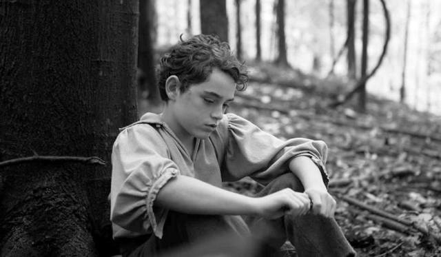 Braydon Denney as young Abe Lincoln in 'The Better Angels' (Amplify)